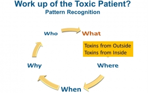 work-up-of-a-toxic-patient