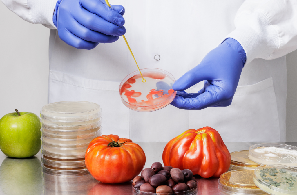 Enhancing Bone Health: Exploring the Role of Synbiotic Therapy