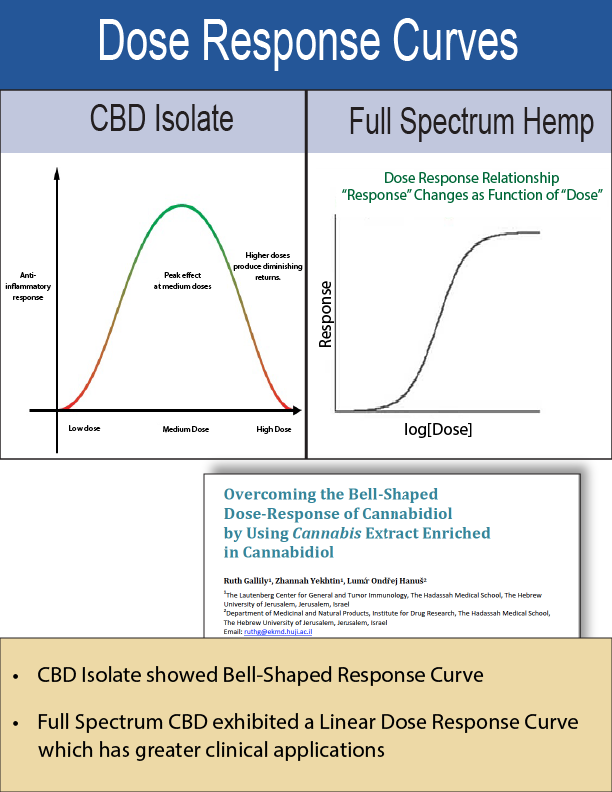 Integrative Practitioner Webinar Image.png.medium.800x800.png