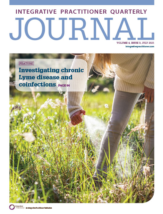 Integrative Practitioner Quarterly Journal: Volume 4, Issue 3 Cover