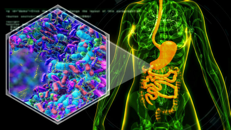 female anatomy with digestive system and bacteria