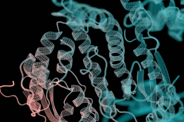 Protein ribbon structure. 3D wireframe