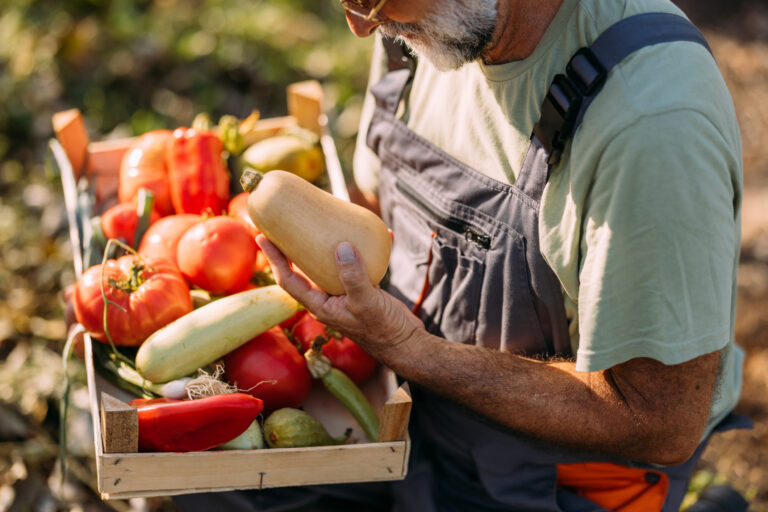 Farmer Holding Freshly Harvested Organic Vegetables in Wooden Crate