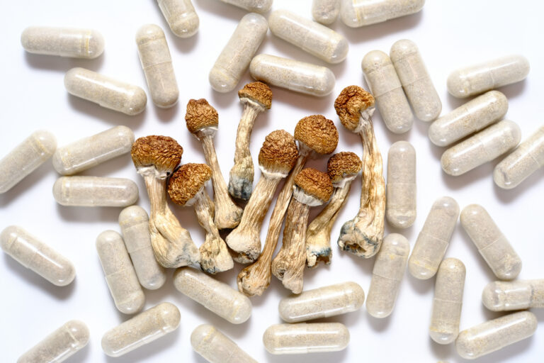 Micro dosing concept. Dry psilocybin mushrooms and natural herbal pills on white background. Psychedelic magic mushroom as medical supplement