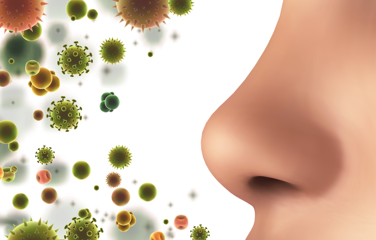 Follow the Money: Nasal Microbiome, Women’s Wellness